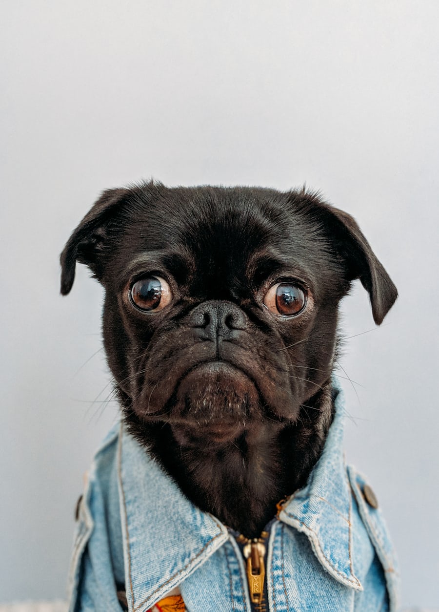Bella
